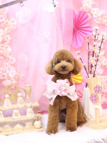 20250304モコくん